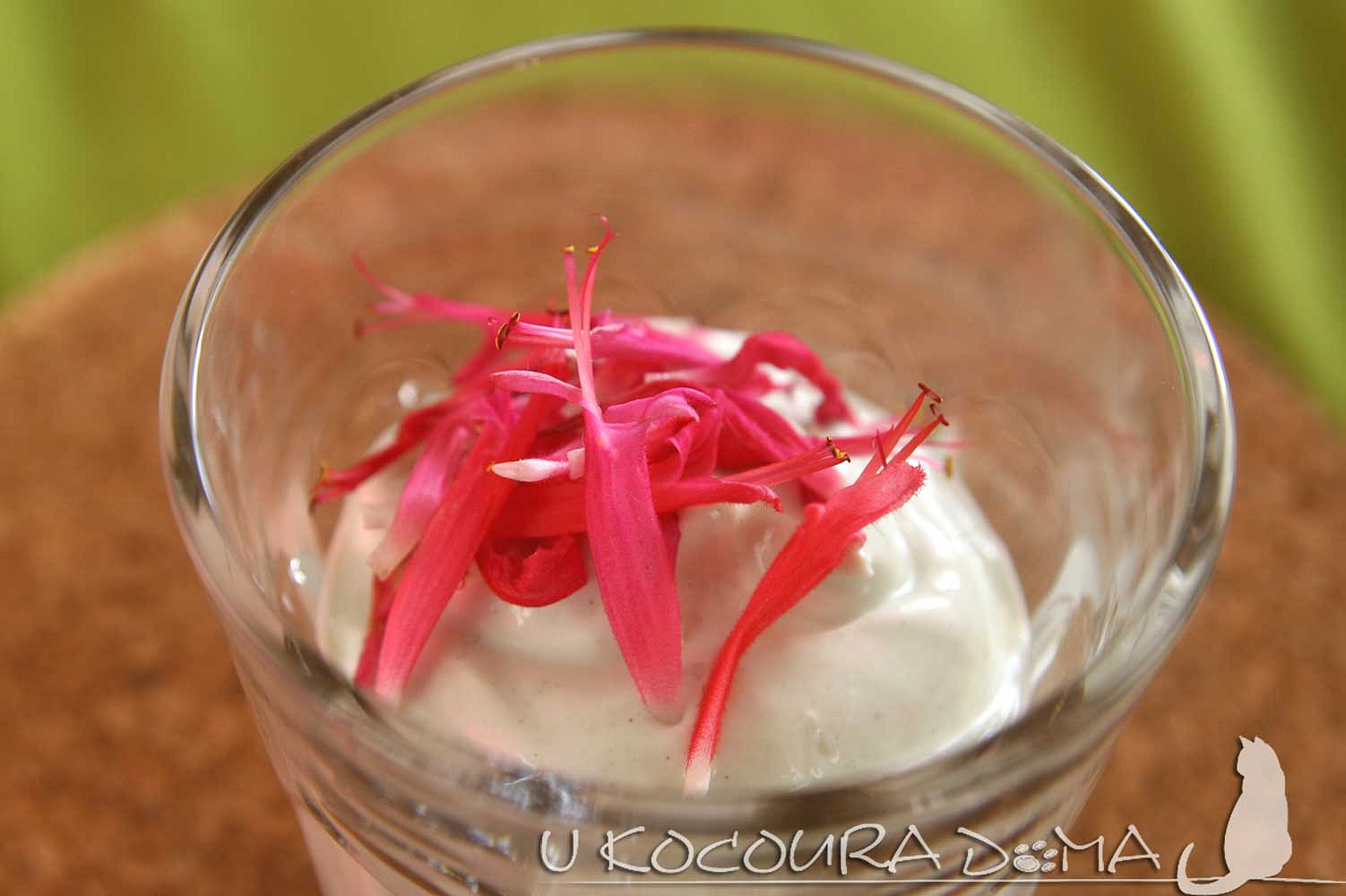 Jednoduchý jogurtový dezert zasypaný kvítky šalvěje ananasové