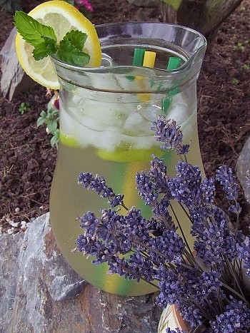 Levandulovo-mátová limonáda s limetkou