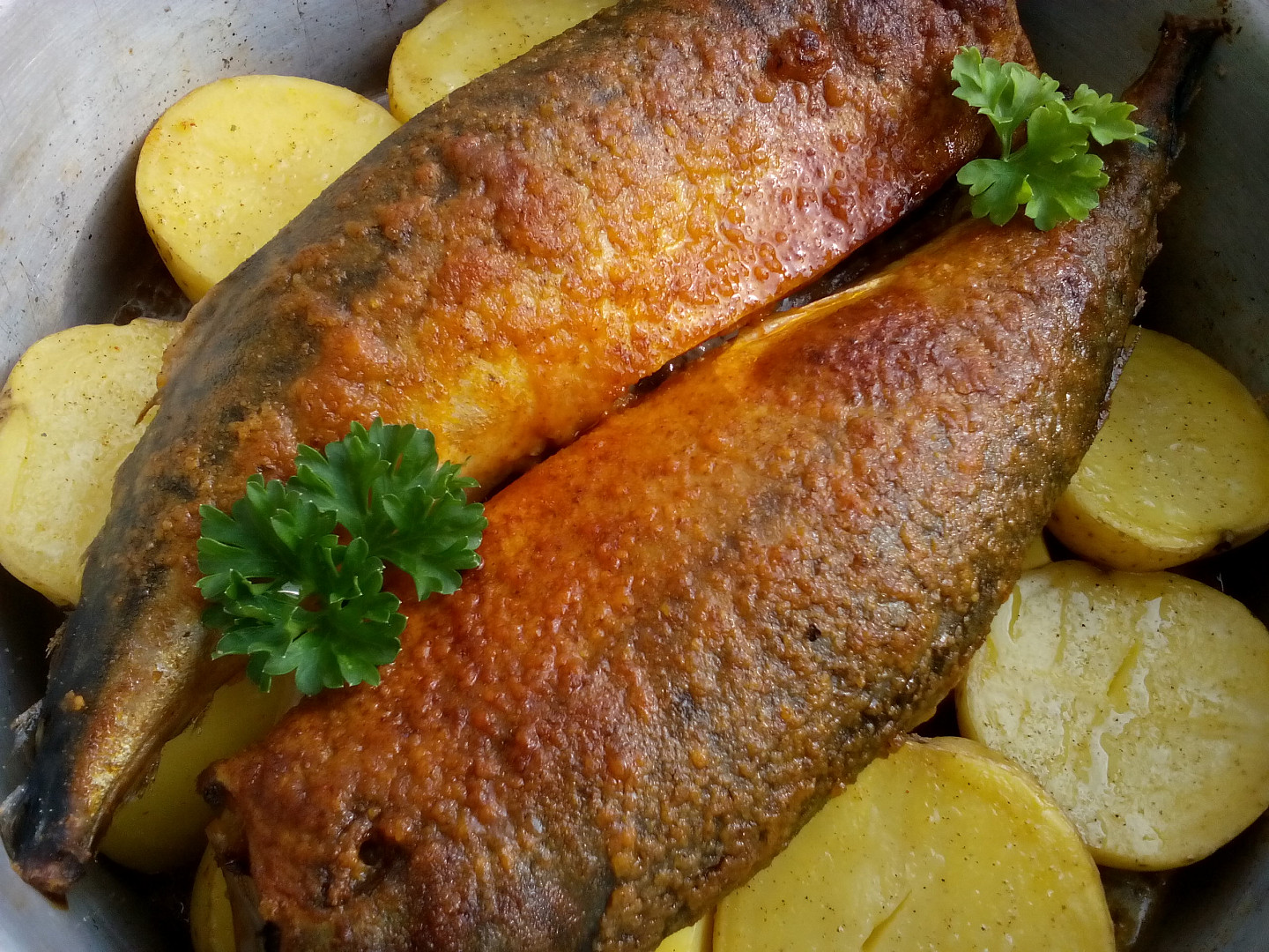 Ryba na bramborách pečená
